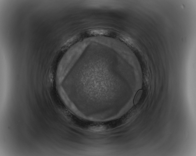 X0000085250551200703301812