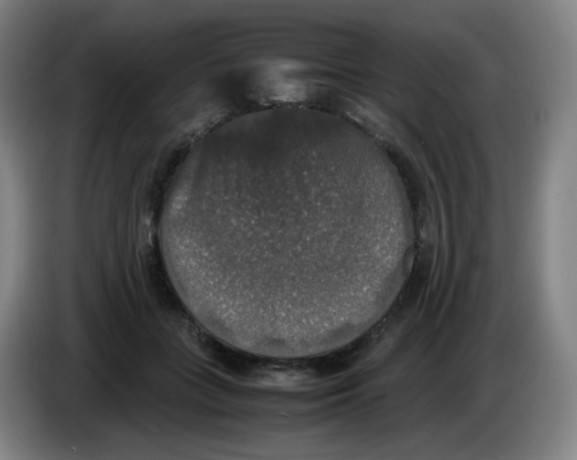 X0000085250555200703301813