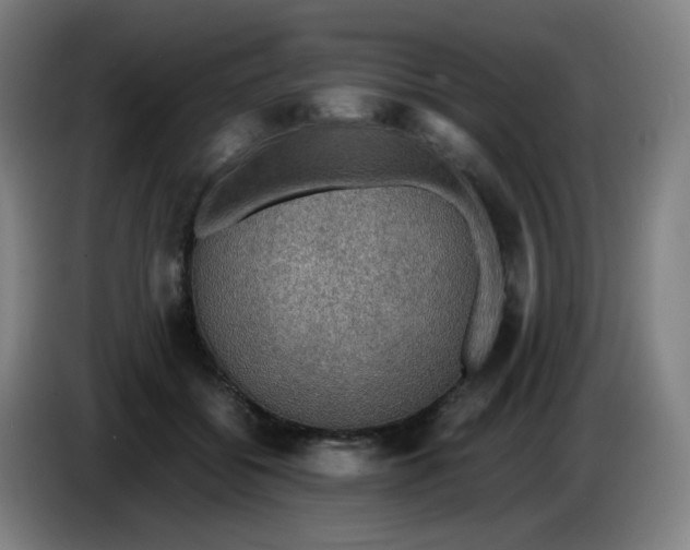 X0000085250556200703301813