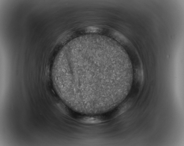 X0000085250557200703301813