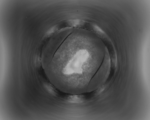 X0000085250558200703301813