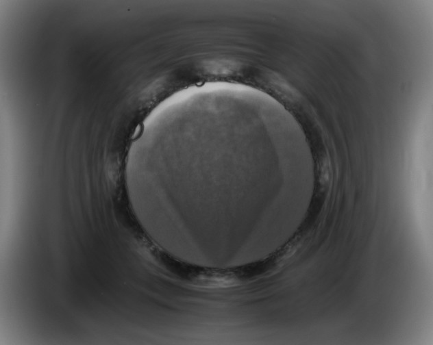 X0000085250559200703301813