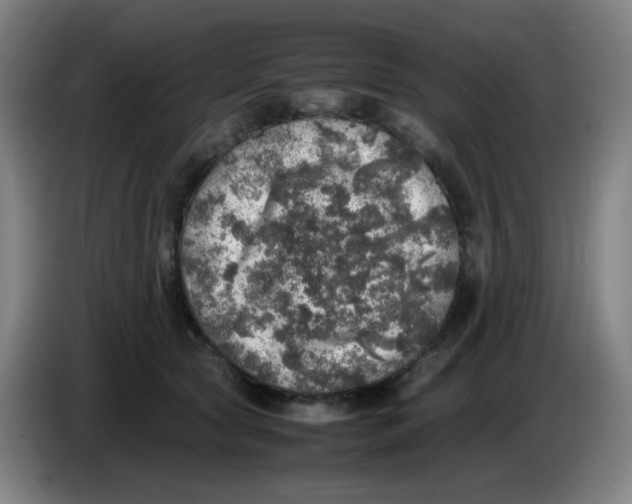 X0000085250561200703301813