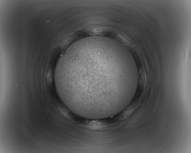 X0000085250562200703301813