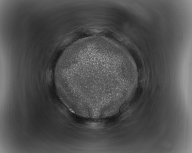 X0000085250563200703301813