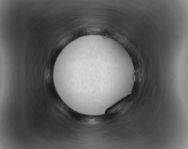 X0000085250564200703301813