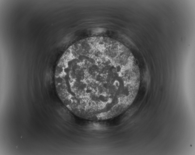 X0000085250565200703301813