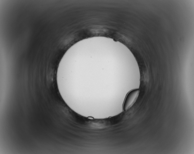 X0000085250567200703301813