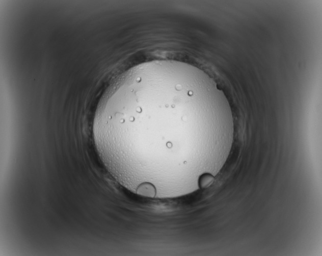 X0000085250569200703301813