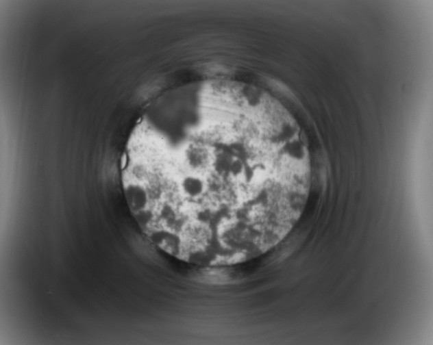 X0000085250573200703301813