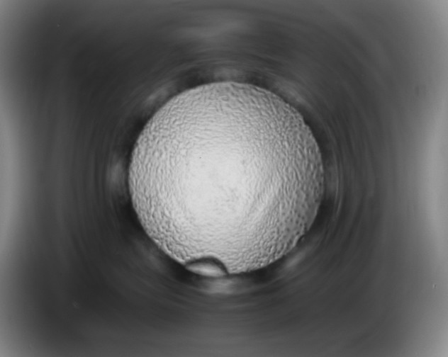 X0000085250575200703301813