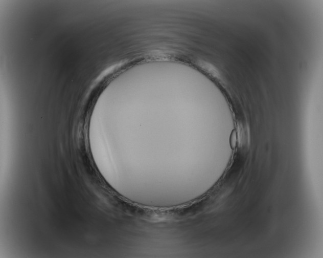 X0000085250579200703301812