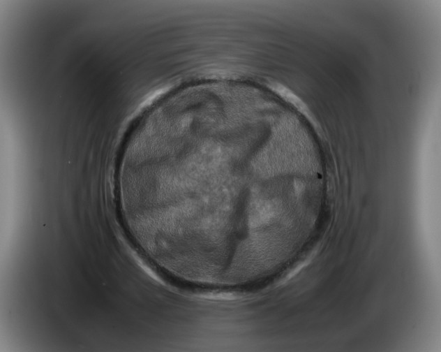 X0000085250581200703301812