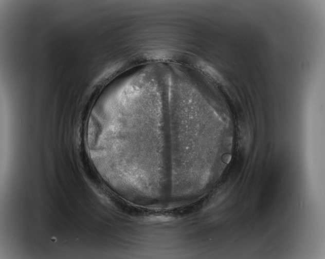 X0000085250586200703301812