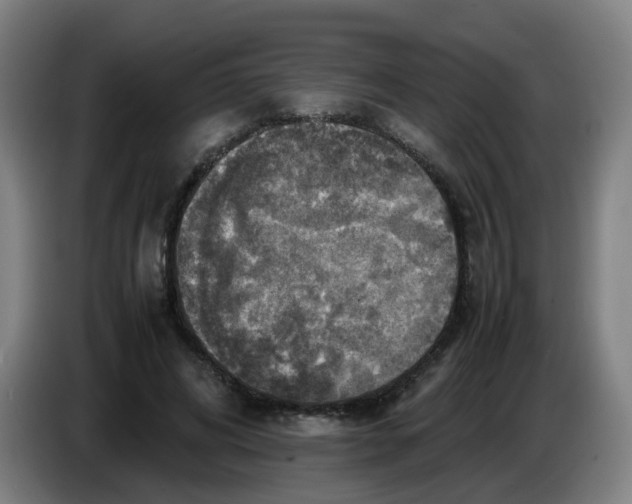 X0000085250592200703301812