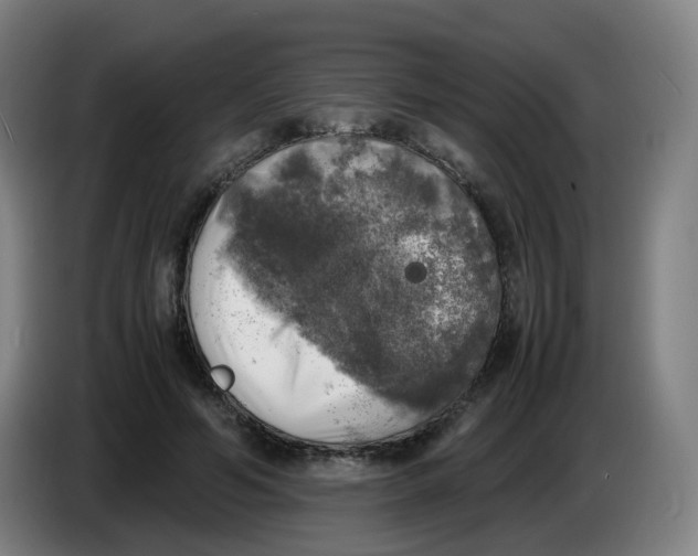 X0000085250594200703301812