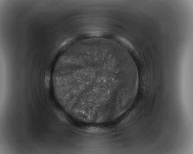 X0000085250596200703301812