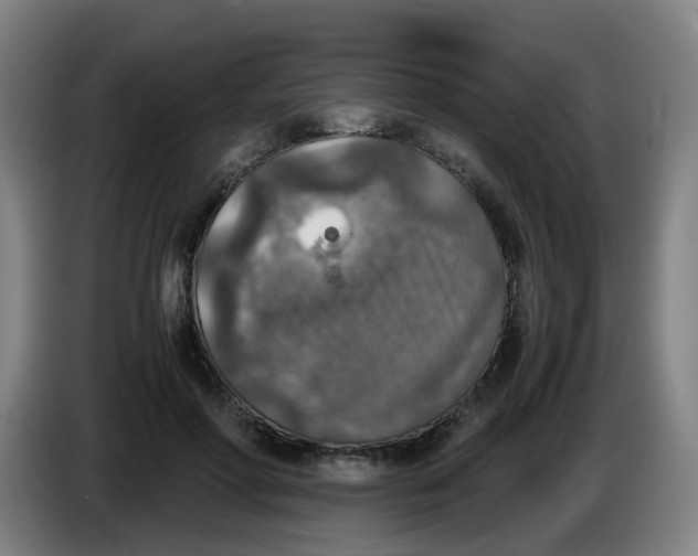 X0000085250598200703301812