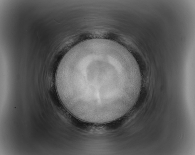 X0000085250599200703301812