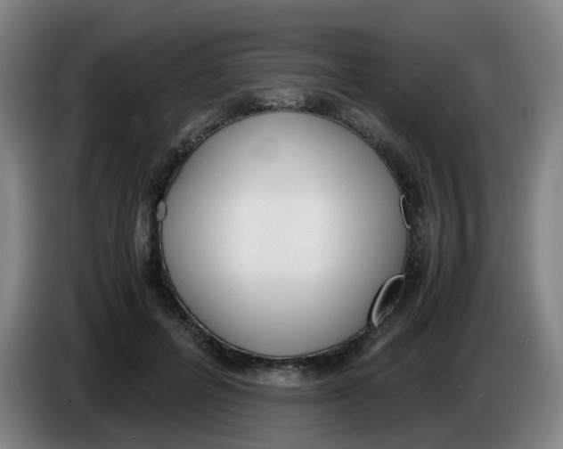 X0000085250600200703301812