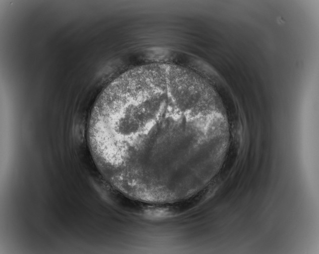 X0000085250602200703301812