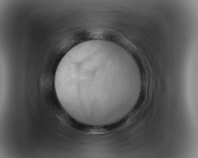 X0000085250603200703301812