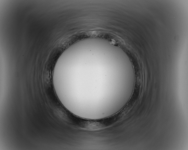 X0000085250605200703301812