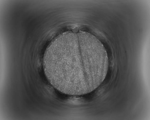 X0000085250607200703301812