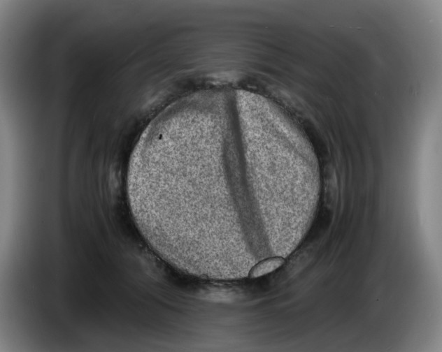 X0000085250608200703301812