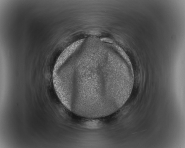 X0000085250609200703301812