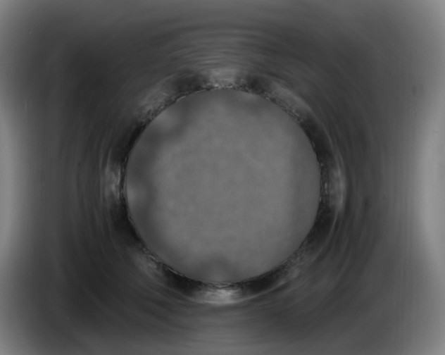 X0000085250610200703301812