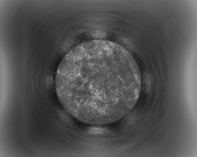 X0000085250614200703301812