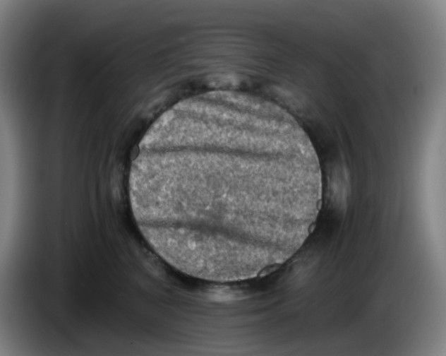 X0000085250616200703301812