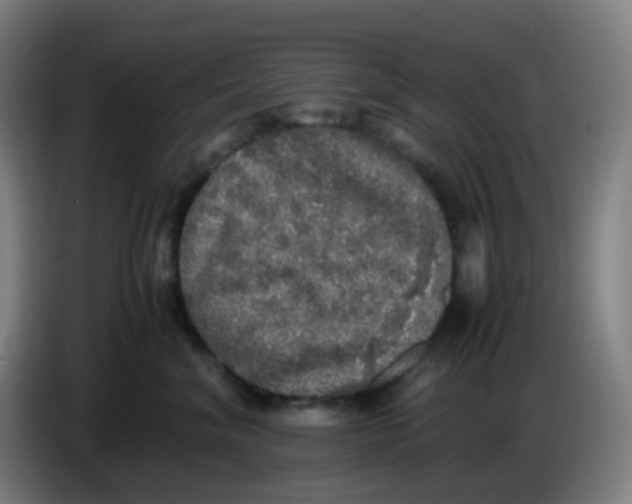 X0000085250620200703301812