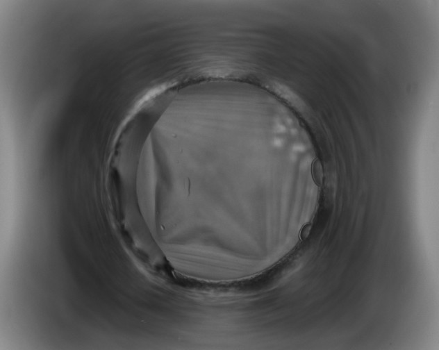 X0000085250626200703301811