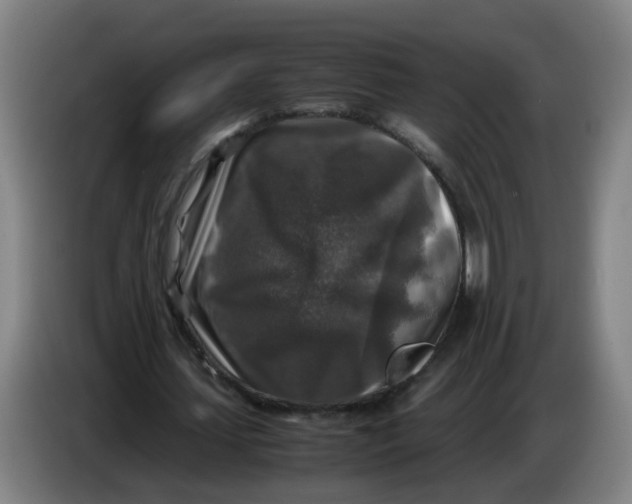 X0000085250627200703301811