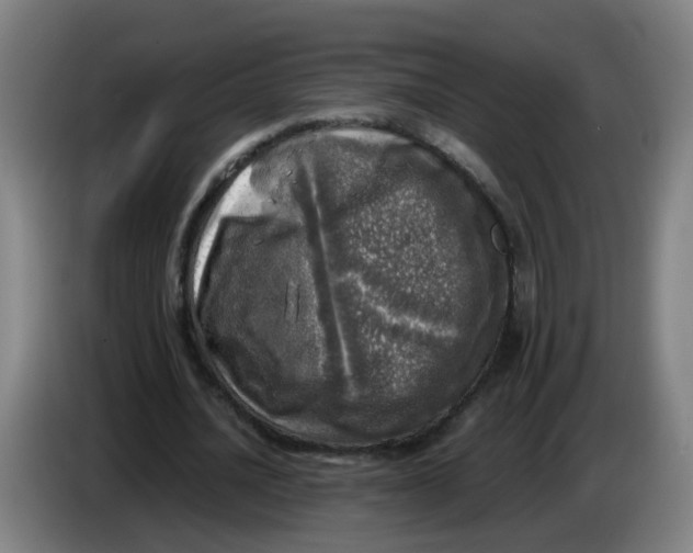 X0000085250628200703301811