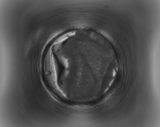 X0000085250630200703301811