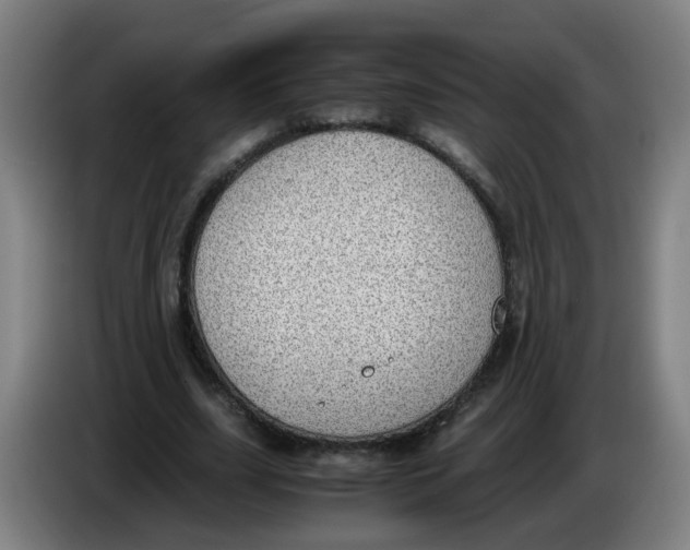 X0000085250631200703301811