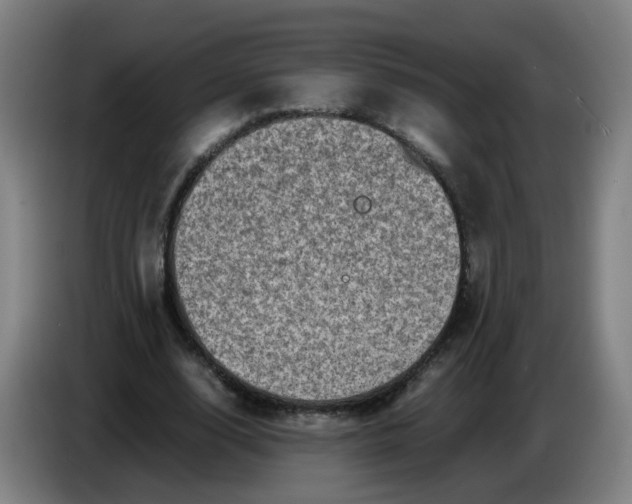 X0000085250632200703301811