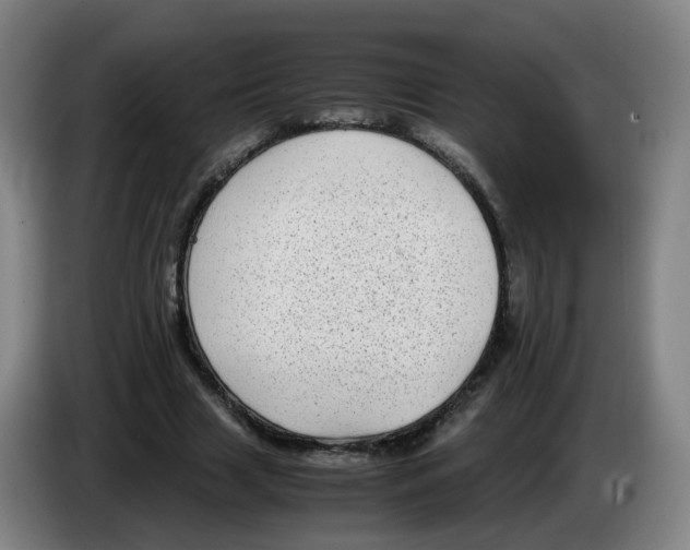 X0000085250633200703301811