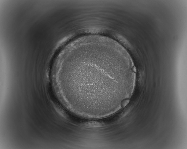 X0000085250636200703301811