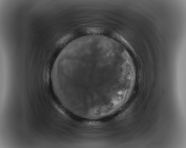 X0000085250637200703301811