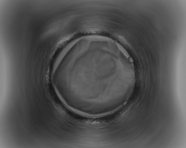 X0000085250640200703301811