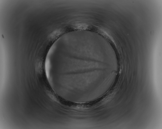 X0000085250641200703301811