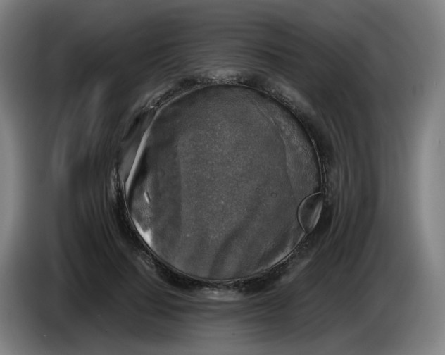 X0000085250644200703301811