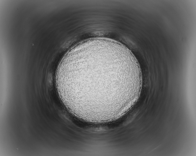 X0000085250646200703301811