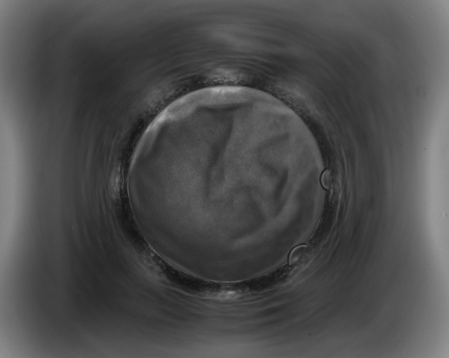 X0000085250647200703301811