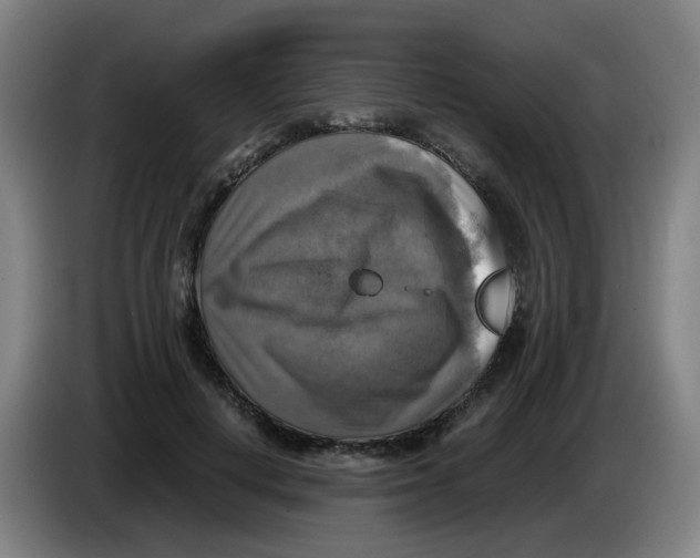 X0000085250648200703301811