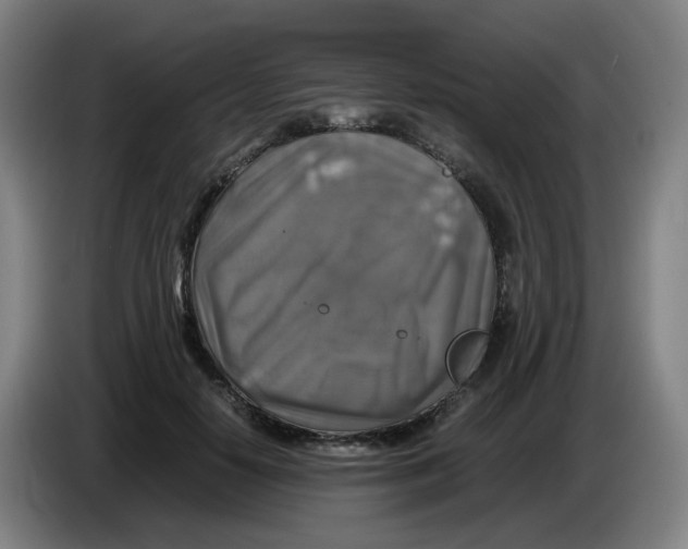 X0000085250650200703301811